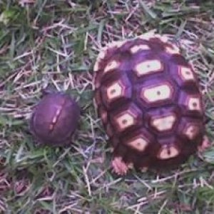 Picture_030
