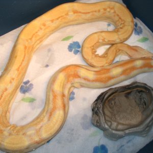 COUPLE OF HOURS AFTER GIVING BIRTH