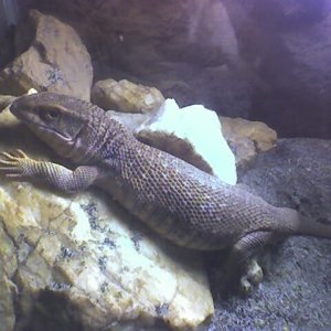 Photo_080707_001