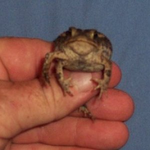 100_3244crp