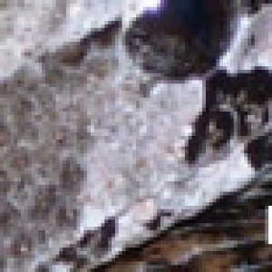 Moo Signature