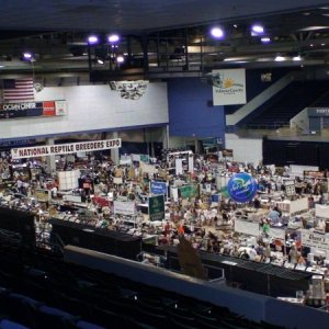 Daytona Beach Expo - 2007