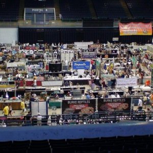 Daytona Beach Expo - 2007