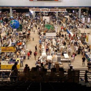 Daytona Beach Expo - 2007