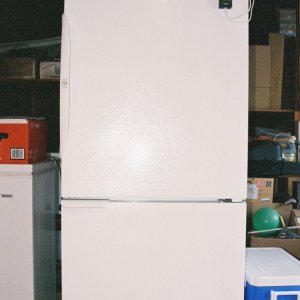 Converted Fridge Incubator