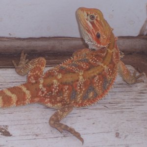 jeff_010
