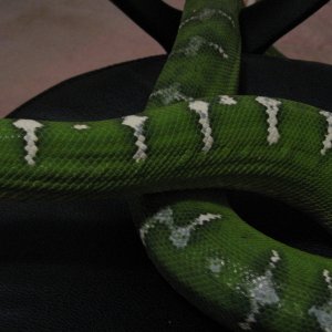 Picture_003