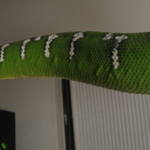 Picture_007