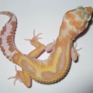 Reverse Stripe