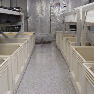 THE SHOP