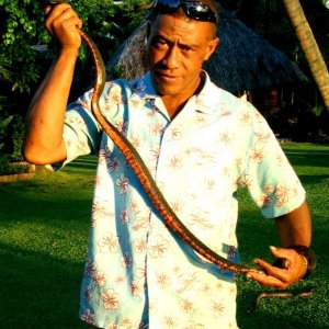 Fijian man with wild boa black morph