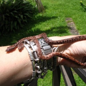 Year old baby Fiji boas