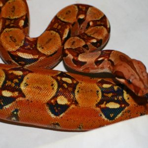 Picture_011