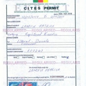 Fake CITES permit