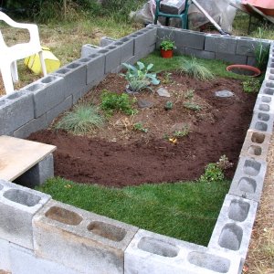 tortoise pen finished on 6-20-08