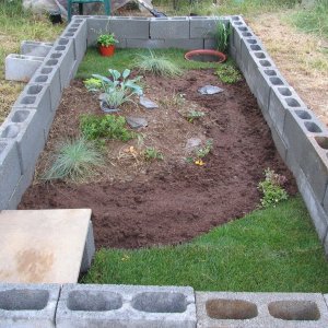 tortoise pen finished on 6-20-08