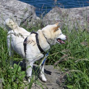beach_005