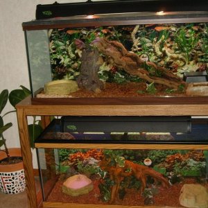 THE SETUP