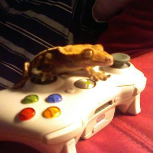 Jumpu Pwns Halo3