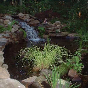 TURTLEPOND