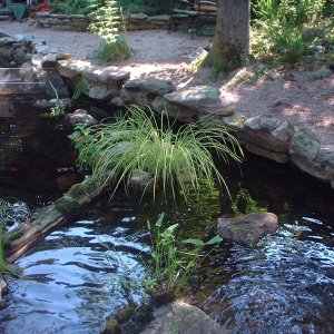 Turtlepond
