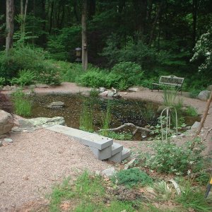 Fishpond
