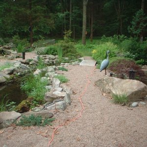 Stream