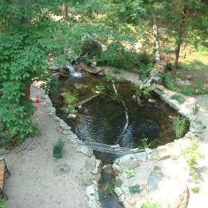 Turtlepond