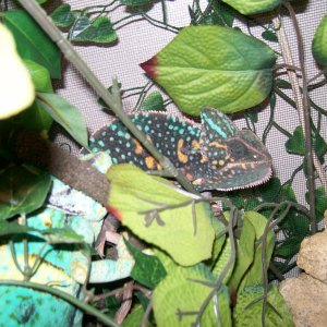 misc_1_012