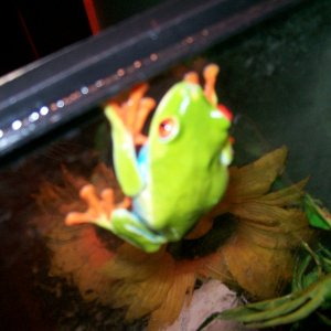 misc_1_010