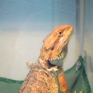 DSC02099