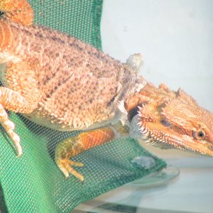 DSC02103