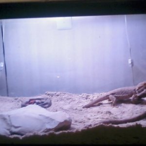 Matildas new digs