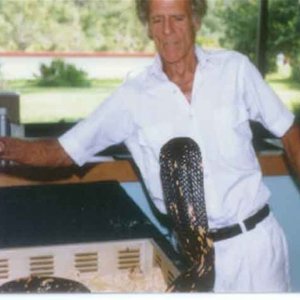 Bill catching Naja haje