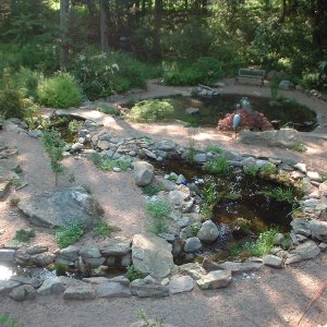 stream,fishpond