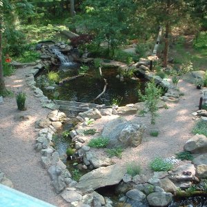turtlepond +enclosure