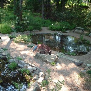 fishpond