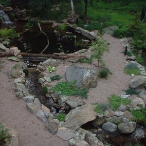 turtlepond,stream