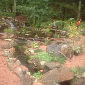 turtlepond 9/29/08