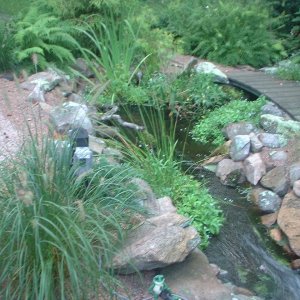 stream,wooden bridge