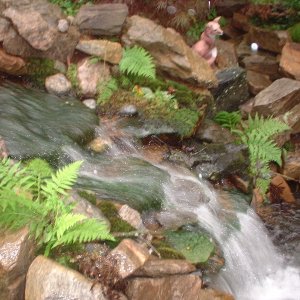 mossy waterfall