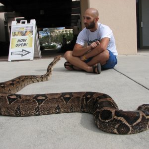 precision