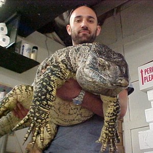Giant Black Throat Monitor