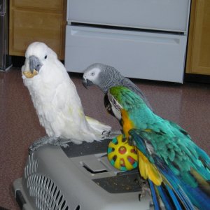 our cuties