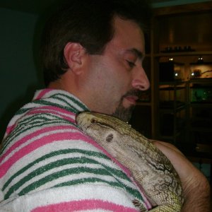 Lucky - my rescue savannah monitor