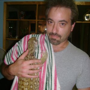 Lucky - my rescue savannah monitor