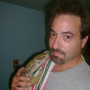 Lucky - my rescue savannah monitor