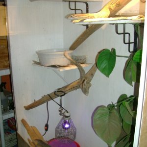 my timor setup