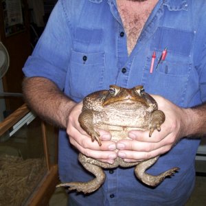 Wilbur, getting older