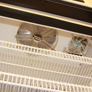 Incubator